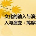 文化的输入与演变：鸠摩罗什长安弘法研究（关于文化的输入与演变：鸠摩罗什长安弘法研究简介）