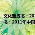 文化蓝皮书：2011年中国文化产业发展报告（关于文化蓝皮书：2011年中国文化产业发展报告简介）