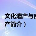 文化遗产与自然遗产（关于文化遗产与自然遗产简介）