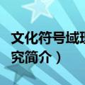 文化符号域理论研究（关于文化符号域理论研究简介）