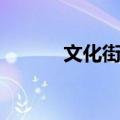 文化街垒（关于文化街垒简介）