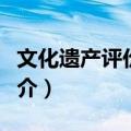 文化遗产评价标准（关于文化遗产评价标准简介）
