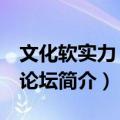 文化软实力 深圳论坛（关于文化软实力 深圳论坛简介）