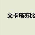 文卡塔苏比亚（关于文卡塔苏比亚简介）