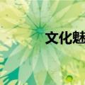 文化魅影（关于文化魅影简介）