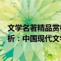 文学名著精品赏析：中国现代文学卷（关于文学名著精品赏析：中国现代文学卷简介）