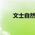 文士自然村（关于文士自然村简介）