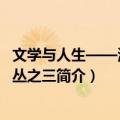 文学与人生——清华文丛之三（关于文学与人生——清华文丛之三简介）