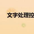 文字处理控件（关于文字处理控件简介）