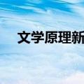 文学原理新释（关于文学原理新释简介）