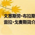 文塞斯劳·布拉斯·佩雷拉·戈麦斯（关于文塞斯劳·布拉斯·佩雷拉·戈麦斯简介）