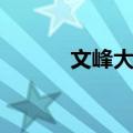 文峰大道（关于文峰大道简介）