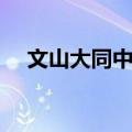 文山大同中学（关于文山大同中学简介）