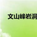 文山峰岩洞村（关于文山峰岩洞村简介）