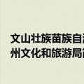 文山壮族苗族自治州文化和旅游局（关于文山壮族苗族自治州文化和旅游局简介）