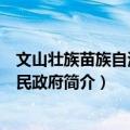 文山壮族苗族自治州人民政府（关于文山壮族苗族自治州人民政府简介）