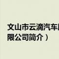 文山市云滴汽车服务有限公司（关于文山市云滴汽车服务有限公司简介）