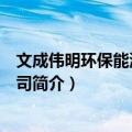 文成伟明环保能源有限公司（关于文成伟明环保能源有限公司简介）