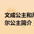 文成公主和尼泊尔公主（关于文成公主和尼泊尔公主简介）