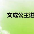 文成公主进藏（关于文成公主进藏简介）