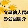 文昌镇人民政府办公室（关于文昌镇人民政府办公室简介）