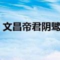 文昌帝君阴骘文（关于文昌帝君阴骘文简介）