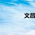 文昌猪（关于文昌猪简介）