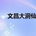 文昌大洞仙经（关于文昌大洞仙经简介）