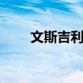 文斯吉利甘（关于文斯吉利甘简介）
