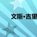 文斯·吉里根（关于文斯·吉里根简介）