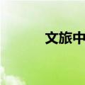 文旅中华（关于文旅中华简介）