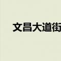 文昌大道街道（关于文昌大道街道简介）