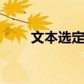 文本选定区（关于文本选定区简介）