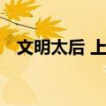 文明太后 上下（关于文明太后 上下简介）