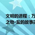 文明的进程：万用之物·盐的故事（关于文明的进程：万用之物·盐的故事简介）