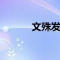 文殊发塔（关于文殊发塔简介）