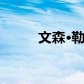 文森·勒可（关于文森·勒可简介）
