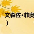 文森佐·菲奥里洛（关于文森佐·菲奥里洛简介）