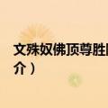 文殊奴佛顶尊胜陀罗尼经（关于文殊奴佛顶尊胜陀罗尼经简介）