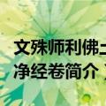 文殊师利佛土严净经卷（关于文殊师利佛土严净经卷简介）