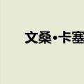 文桑·卡塞尔（关于文桑·卡塞尔简介）