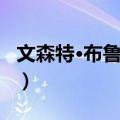 文森特·布鲁克斯（关于文森特·布鲁克斯简介）