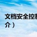 文档安全控制系统（关于文档安全控制系统简介）
