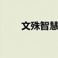 文殊智慧咒（关于文殊智慧咒简介）