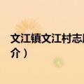 文江镇文江村志愿服务队（关于文江镇文江村志愿服务队简介）