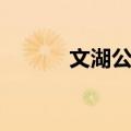 文湖公园（关于文湖公园简介）