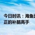 今日时讯：海鱼比河鱼更有营养吗 补脑别只会吃核桃才是真正的补脑高手