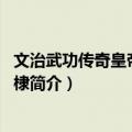 文治武功传奇皇帝——朱棣（关于文治武功传奇皇帝——朱棣简介）