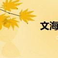 文海湖（关于文海湖简介）