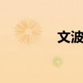 文波龙（关于文波龙简介）